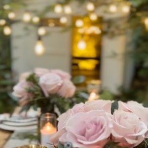 Meet your Posher, Norma